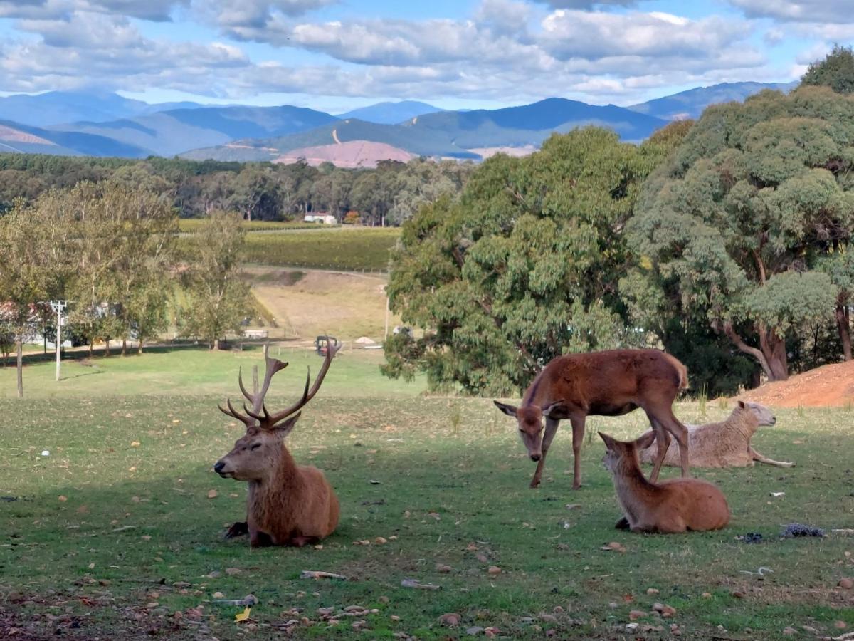 Holiday park Restaway Units Porepunkah